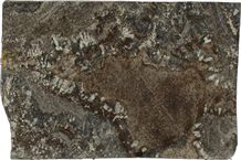 Amarone slab, lot 5427.1